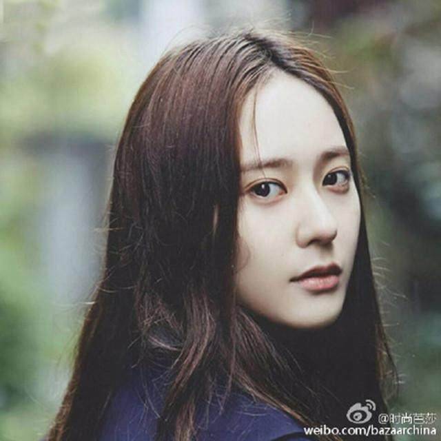 牡丹在线免费观看 更新5